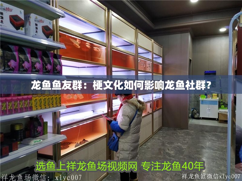 龍魚魚友群：梗文化如何影響龍魚社群？