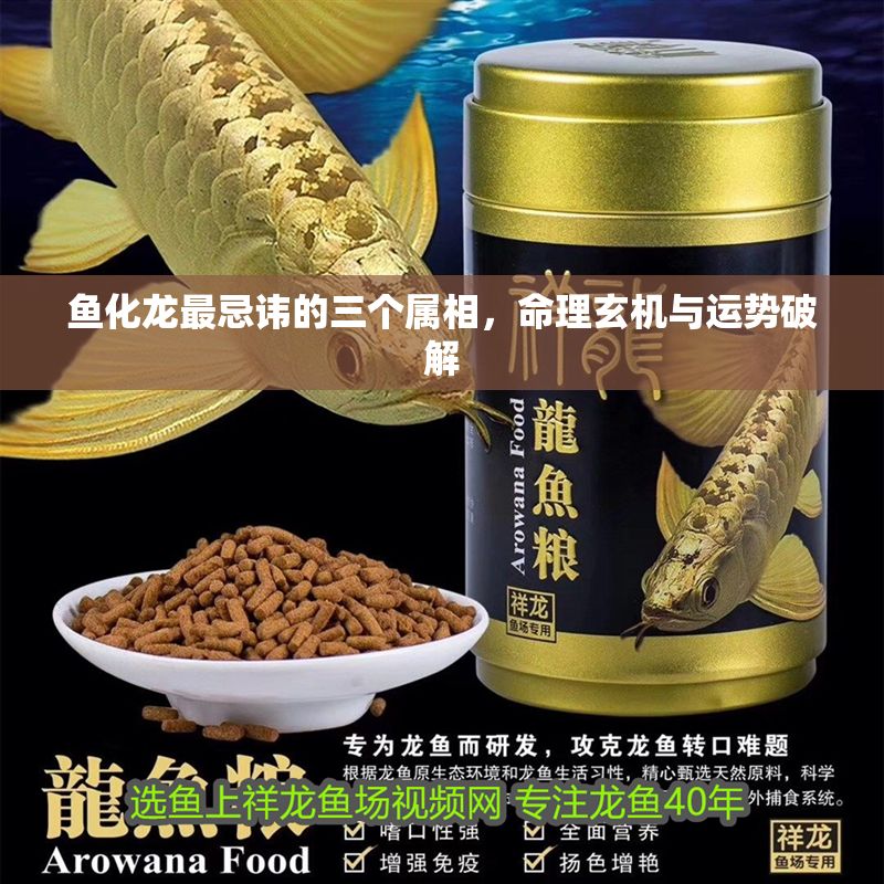 魚化龍最忌諱的三個屬相，命理玄機與運勢破解