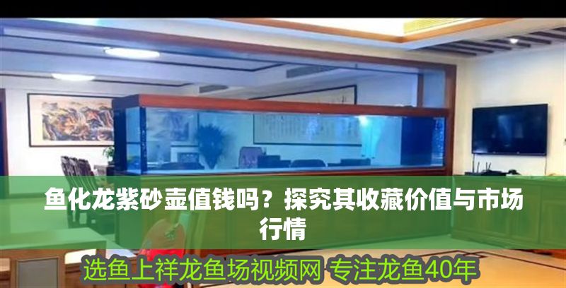 魚化龍紫砂壺值錢嗎？探究其收藏價值與市場行情