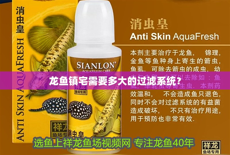龍魚鎮宅需要多大的過濾系統？