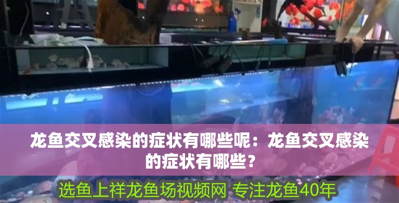 龍魚交叉感染的癥狀有哪些呢：龍魚交叉感染的癥狀有哪些？