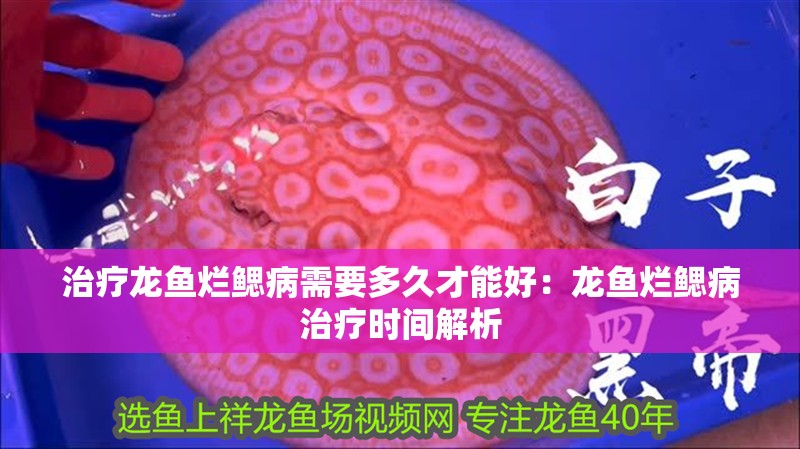 治療龍魚爛鰓病需要多久才能好：龍魚爛鰓病治療時間解析