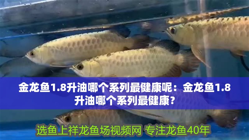金龍魚1.8升油哪個系列最健康呢：金龍魚1.8升油哪個系列最健康？