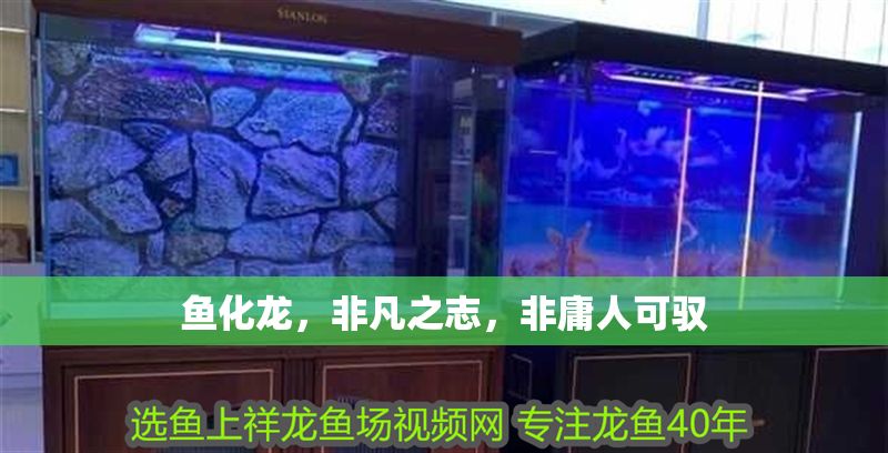 魚化龍，非凡之志，非庸人可馭