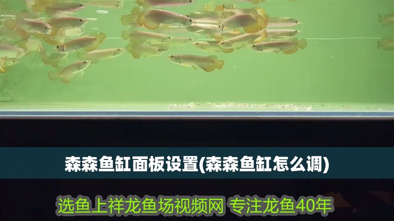 森森魚(yú)缸面板設(shè)置(森森魚(yú)缸怎么調(diào))