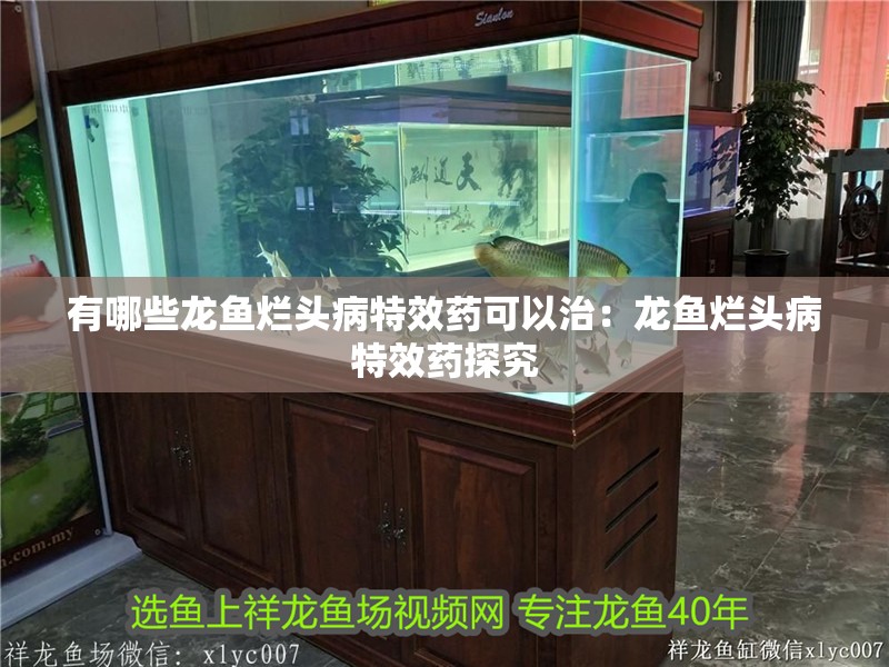 有哪些龍魚爛頭病特效藥可以治：龍魚爛頭病特效藥探究