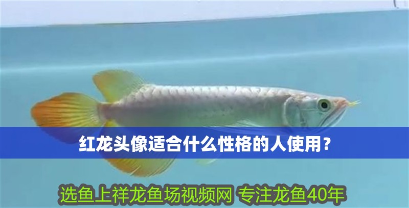 紅龍頭像適合什么性格的人使用？