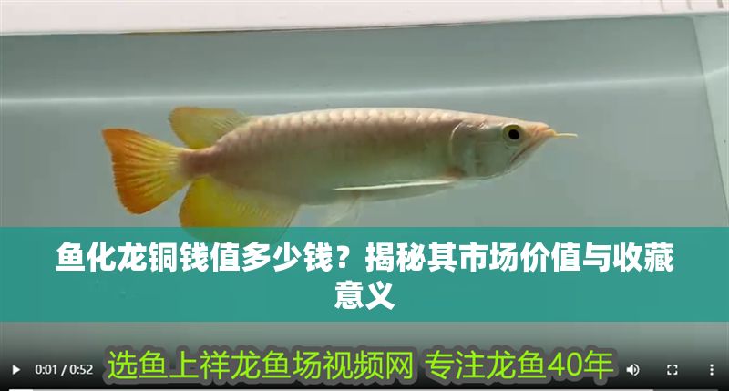 魚化龍銅錢值多少錢？揭秘其市場價值與收藏意義