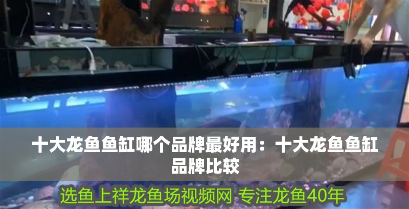 十大龍魚魚缸哪個品牌最好用：十大龍魚魚缸品牌比較