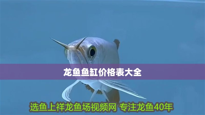 龍魚魚缸價格表大全