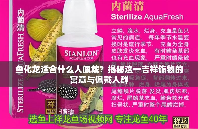 魚化龍適合什么人佩戴？揭秘這一吉祥飾物的寓意與佩戴人群