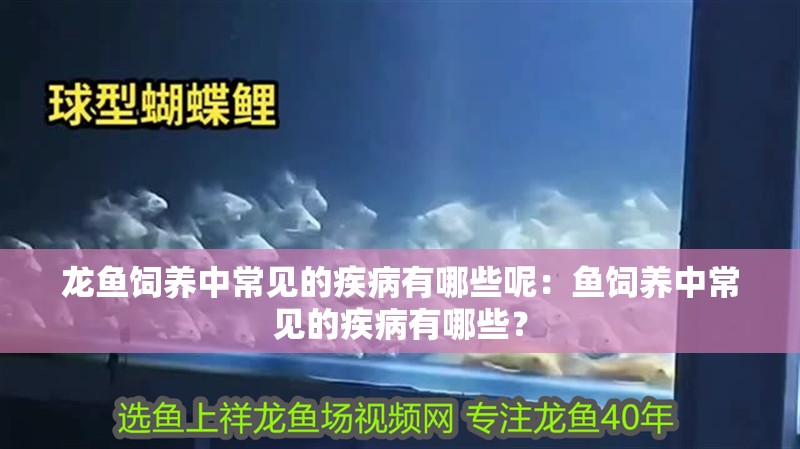 龍魚飼養中常見的疾病有哪些呢：魚飼養中常見的疾病有哪些？