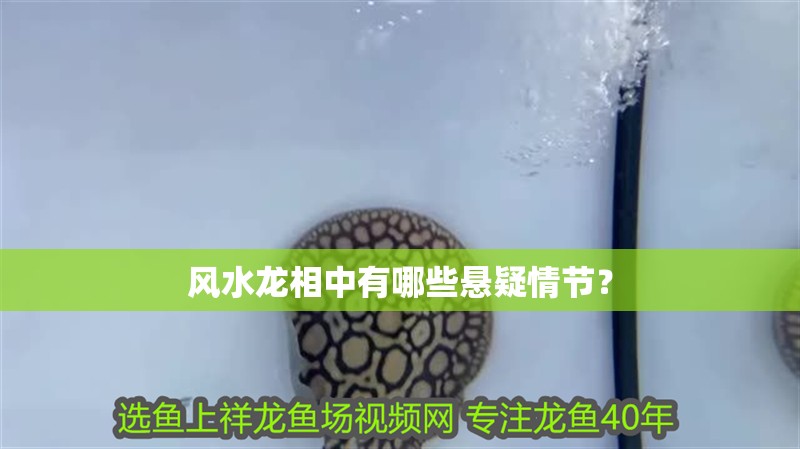 風水龍相中有哪些懸疑情節？