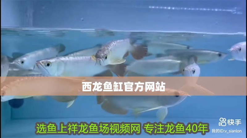 西龍魚缸官方網站