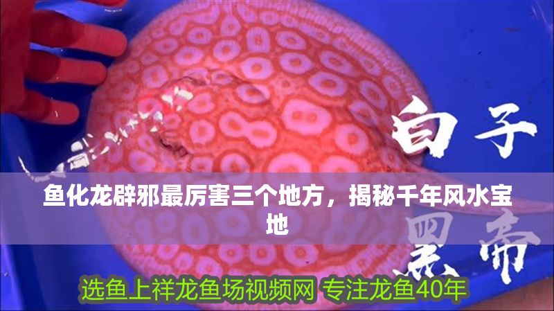 魚化龍辟邪最厲害三個地方，揭秘千年風(fēng)水寶地