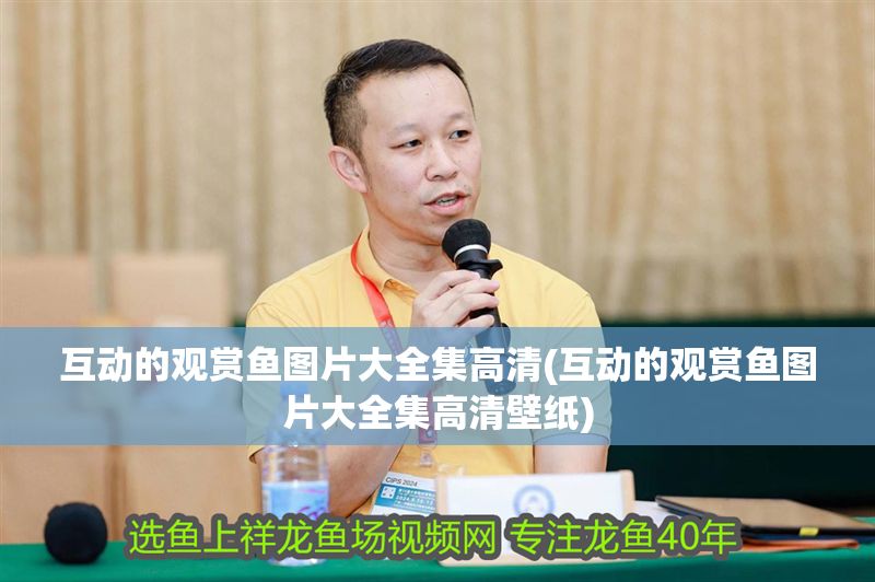 互動的觀賞魚圖片大全集高清(互動的觀賞魚圖片大全集高清壁紙) 互動的觀賞魚圖片大全集高清(互動的觀賞魚圖片大全集高清壁紙) 龍魚百科 第1張