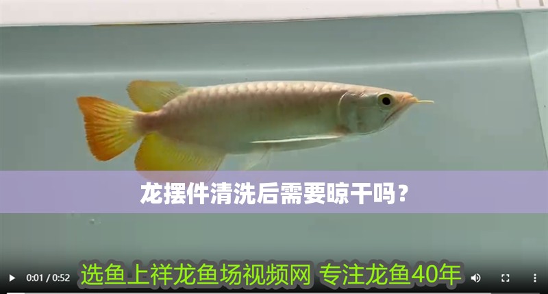 龍擺件清洗后需要晾干嗎？