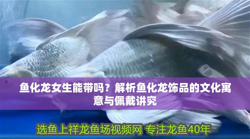 魚化龍女生能帶嗎？解析魚化龍飾品的文化寓意與佩戴講究