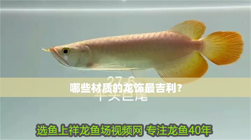 哪些材質(zhì)的龍飾最吉利？