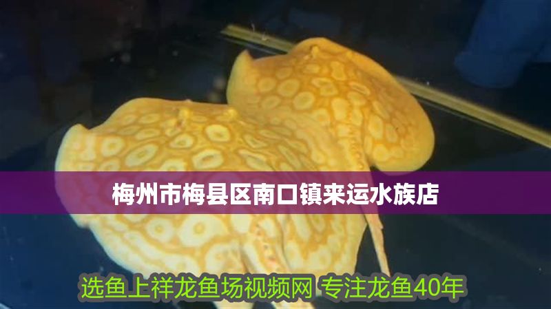 梅州市梅縣區南口鎮來運水族店