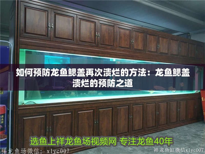 如何預防龍魚鰓蓋再次潰爛的方法：龍魚鰓蓋潰爛的預防之道
