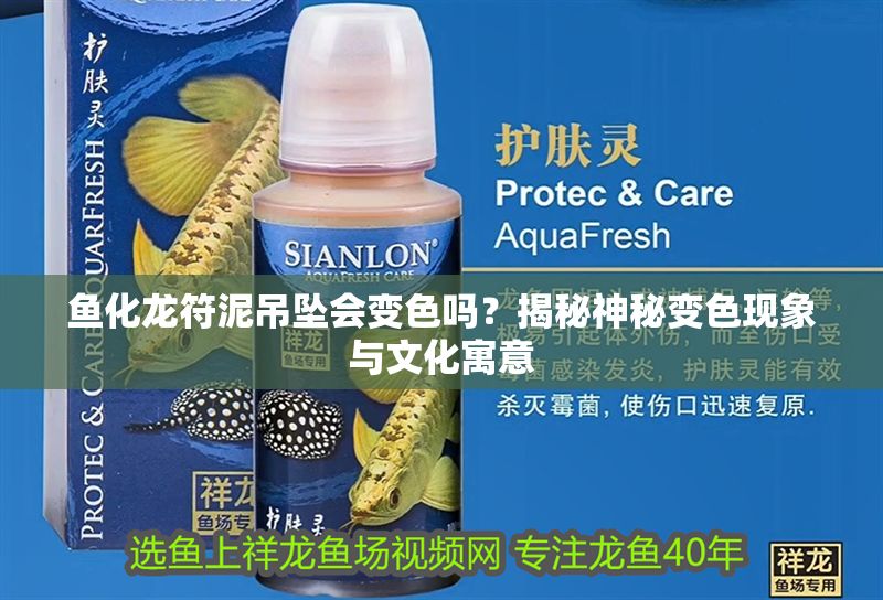 魚化龍符泥吊墜會變色嗎？揭秘神秘變色現象與文化寓意