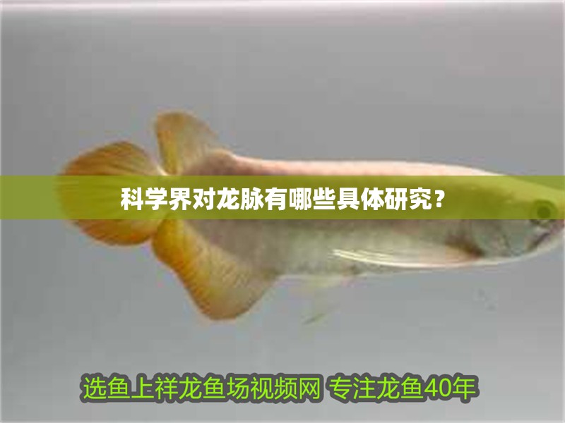 科學界對龍脈有哪些具體研究？