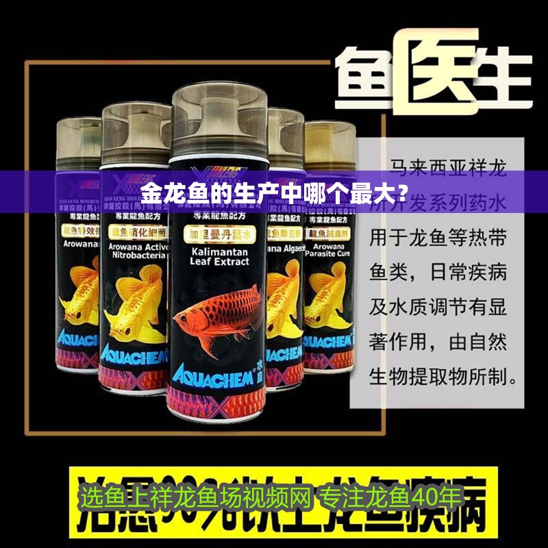 金龍魚的生產中哪個最大？
