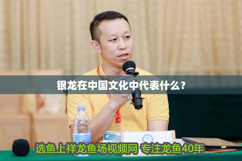 銀龍在中國文化中代表什么？