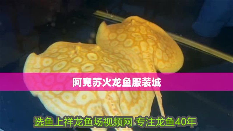 阿克蘇火龍魚服裝城