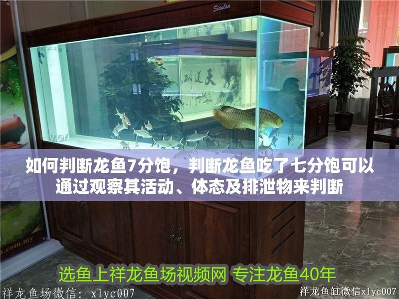 如何判斷龍魚7分飽，判斷龍魚吃了七分飽可以通過觀察其活動、體態及排泄物來判斷