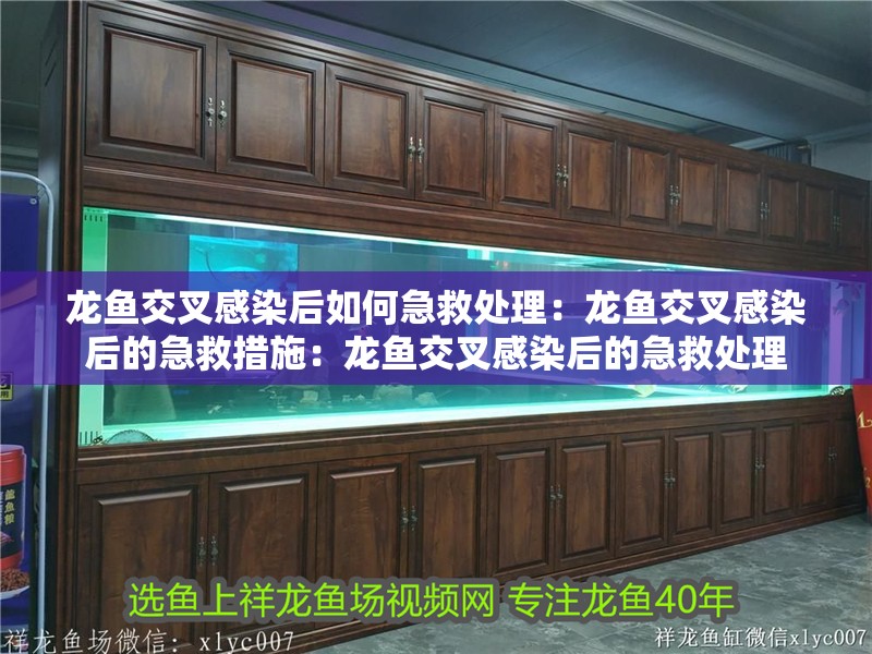 龍魚交叉感染后如何急救處理：龍魚交叉感染后的急救措施：龍魚交叉感染后的急救處理