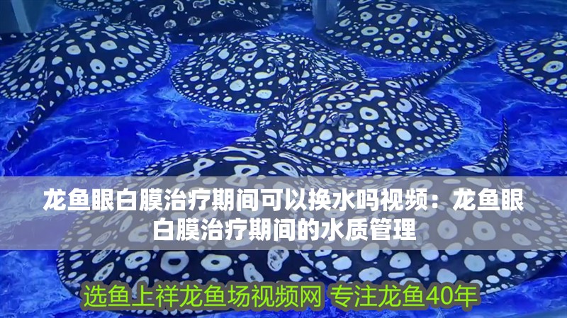 龍魚眼白膜治療期間可以換水嗎視頻：龍魚眼白膜治療期間的水質(zhì)管理