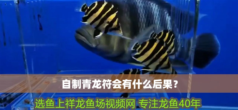 金龍魚29公分屬于什么階段【金龍魚29公分屬于什么階段找到金龍魚生長階段劃分關(guān)鍵詞】
