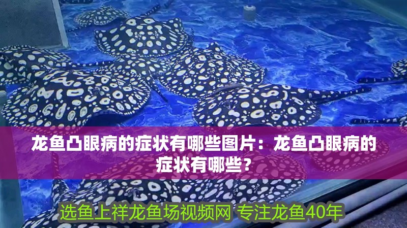 龍魚凸眼病的癥狀有哪些圖片：龍魚凸眼病的癥狀有哪些？