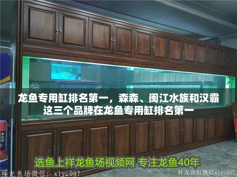 龍魚(yú)專用缸排名第一，森森、閩江水族和漢霸這三個(gè)品牌在龍魚(yú)專用缸排名第一