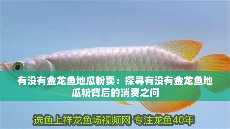 有沒有金龍魚地瓜粉賣：探尋有沒有金龍魚地瓜粉背后的消費之問