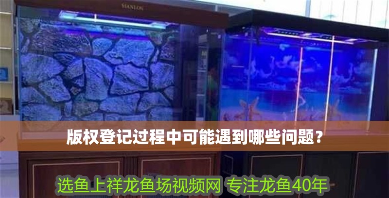 版權(quán)登記過程中可能遇到哪些問題？