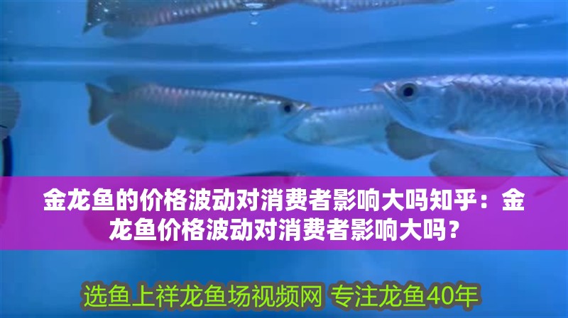 金龍魚的價格波動對消費者影響大嗎知乎：金龍魚價格波動對消費者影響大嗎？