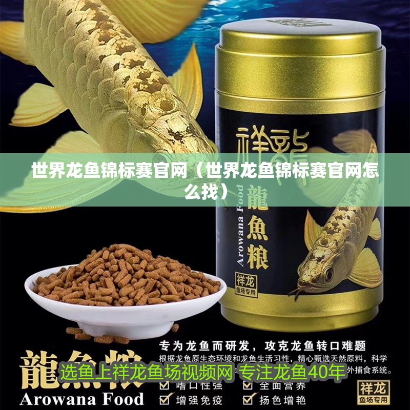 世界龍魚錦標賽官網（世界龍魚錦標賽官網怎么找）