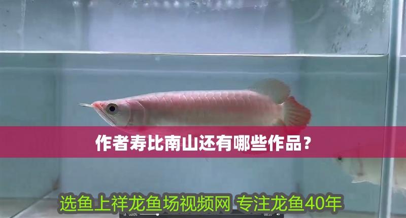 作者壽比南山還有哪些作品？