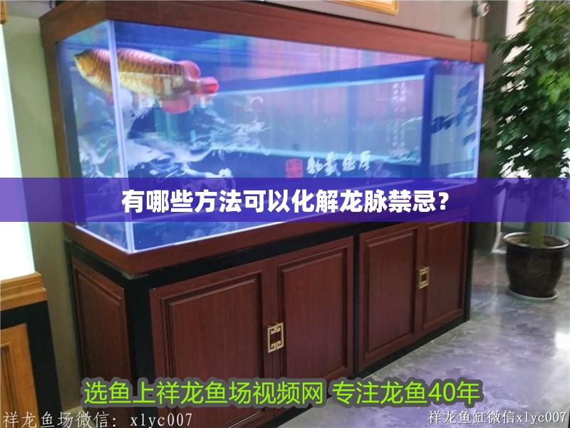 有哪些方法可以化解龍脈禁忌？