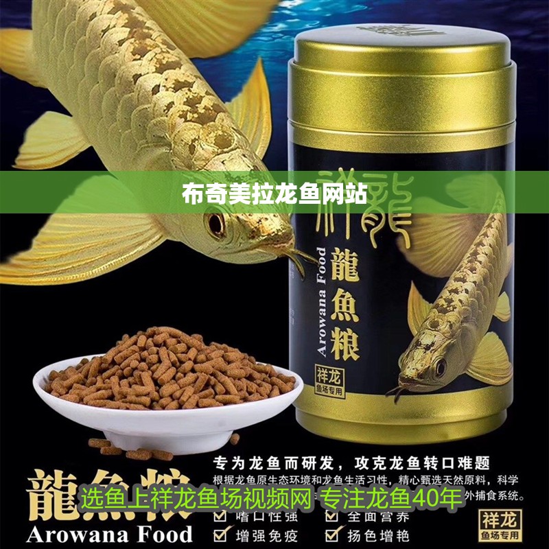 布奇美拉龍魚網(wǎng)站