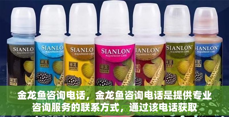 金龍魚咨詢電話，金龍魚咨詢電話是提供專業(yè)咨詢服務的聯(lián)系方式，通過該電話獲取
