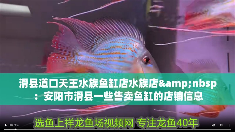 滑縣道口天王水族魚缸店水族店&nbsp：安陽市滑縣一些售賣魚缸的店鋪信息