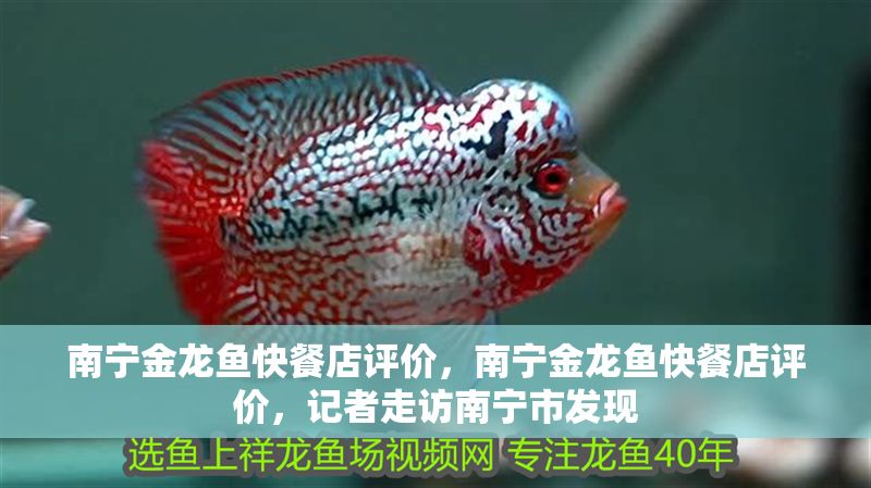 南寧金龍魚快餐店評價，南寧金龍魚快餐店評價，記者走訪南寧市發現