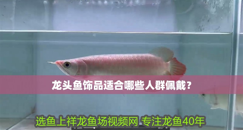 龍頭魚飾品適合哪些人群佩戴？
