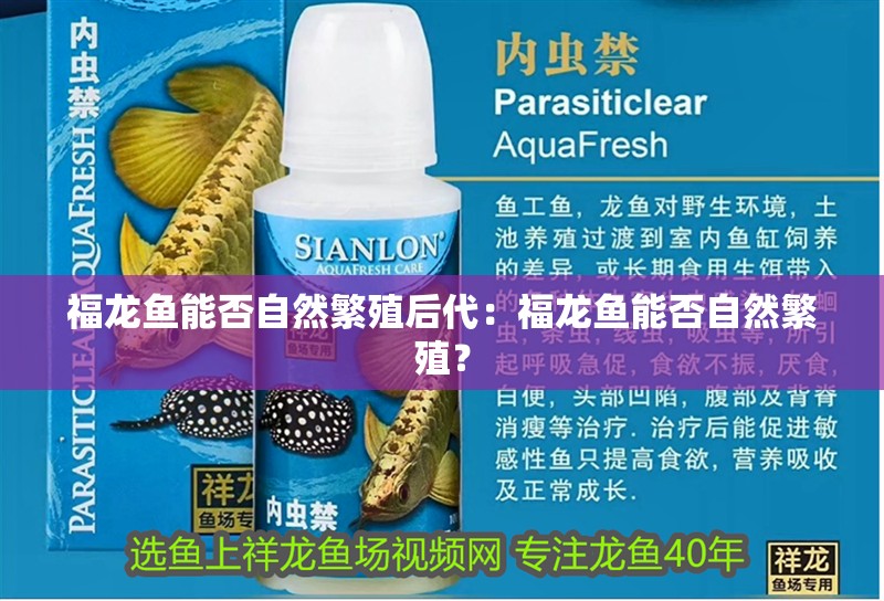福龍魚能否自然繁殖后代：福龍魚能否自然繁殖？