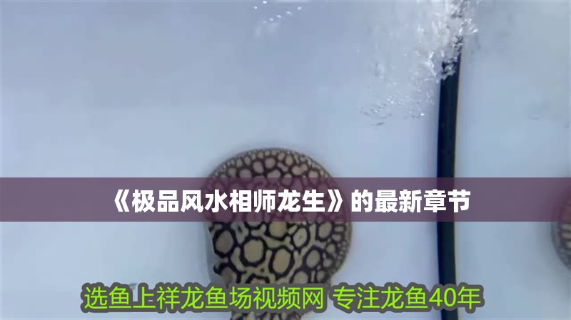 《極品風水相師龍生》的最新章節(jié)