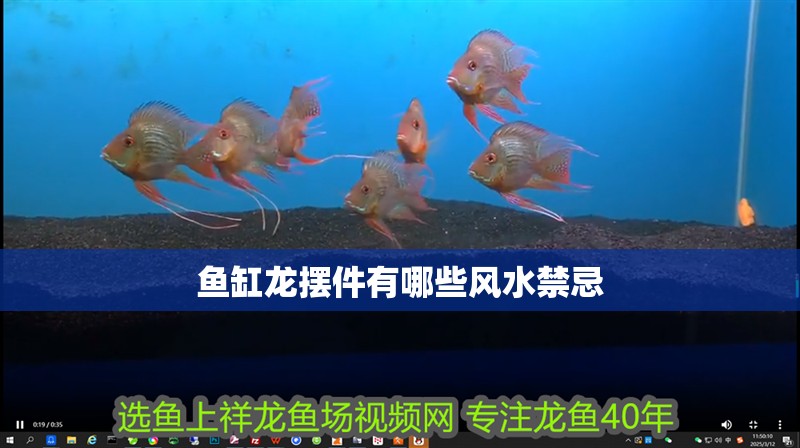 魚缸龍擺件有哪些風(fēng)水禁忌